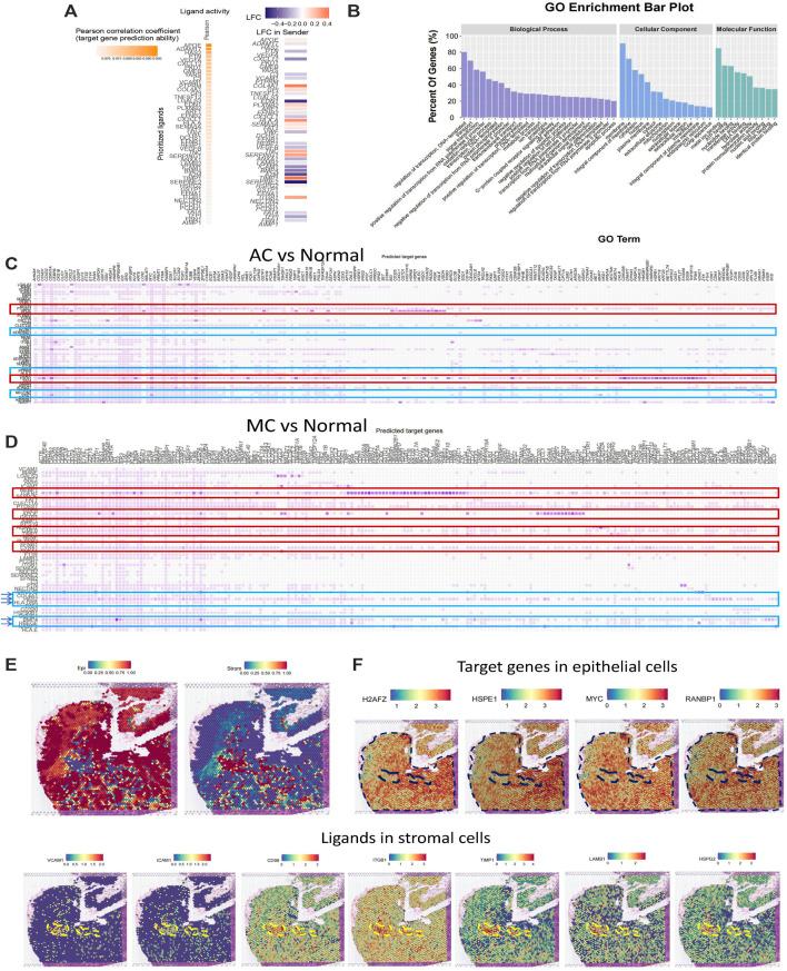 https://cdn.ncbi.nlm.nih.gov/pmc/blobs/cfdb/10114614/569577b1ae75/fmolb-10-1150362-g006.jpg