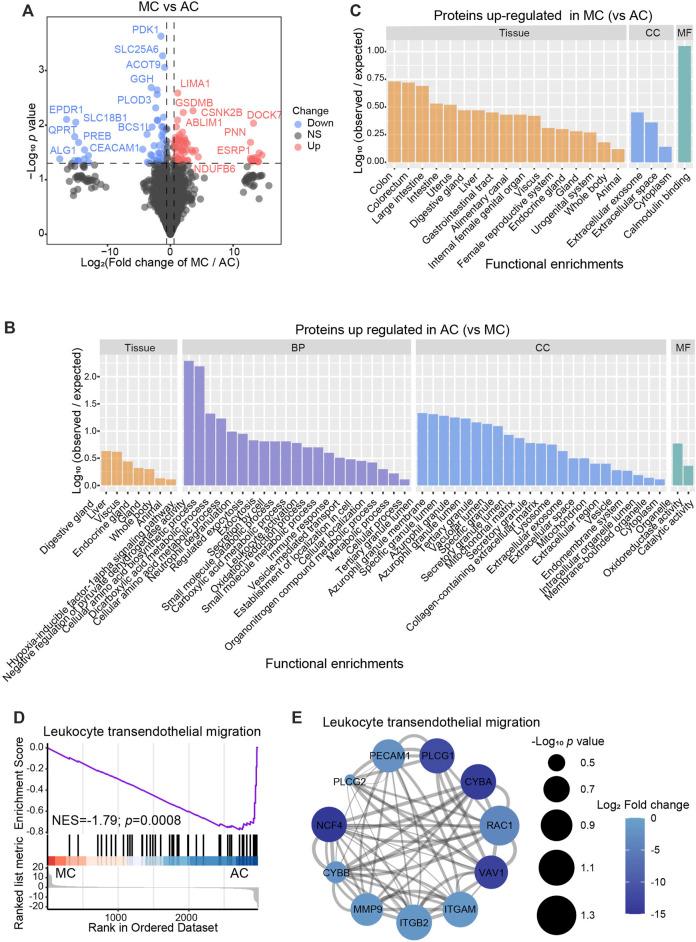 https://cdn.ncbi.nlm.nih.gov/pmc/blobs/cfdb/10114614/a6449b456735/fmolb-10-1150362-g003.jpg