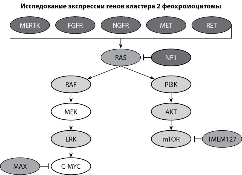 https://cdn.ncbi.nlm.nih.gov/pmc/blobs/cfdf/11145578/56a7c2a6655a/problendo-70-13345-g010.jpg