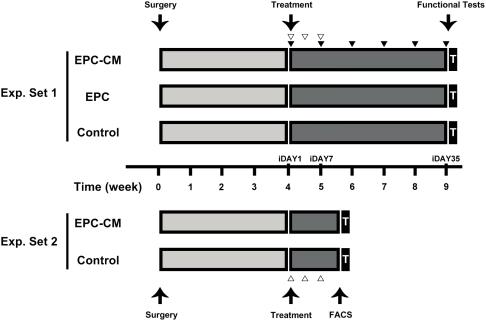 https://cdn.ncbi.nlm.nih.gov/pmc/blobs/cfe0/2682571/c747d5a4a166/pone.0005643.g003.jpg