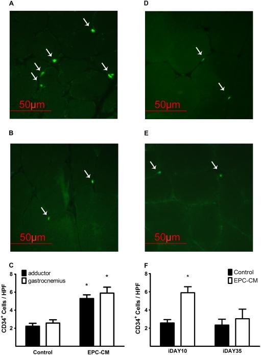 https://cdn.ncbi.nlm.nih.gov/pmc/blobs/cfe0/2682571/ca94cd8aef15/pone.0005643.g009.jpg