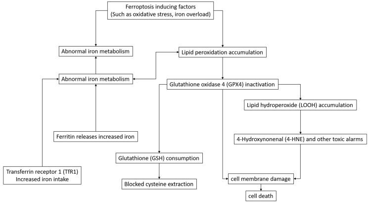 https://cdn.ncbi.nlm.nih.gov/pmc/blobs/cfe2/11944624/a8bdce9caffe/pharmaceuticals-18-00334-g001.jpg