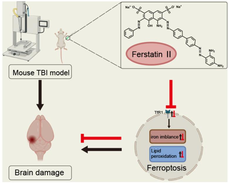 https://cdn.ncbi.nlm.nih.gov/pmc/blobs/cfe2/11944624/d663401f4dea/pharmaceuticals-18-00334-g002.jpg
