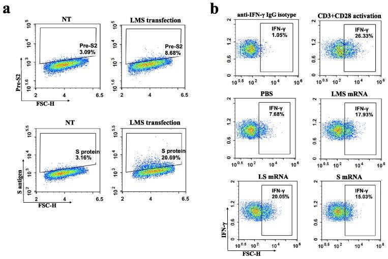 https://cdn.ncbi.nlm.nih.gov/pmc/blobs/cfe3/11859219/734d126219ee/pharmaceutics-17-00211-g005.jpg