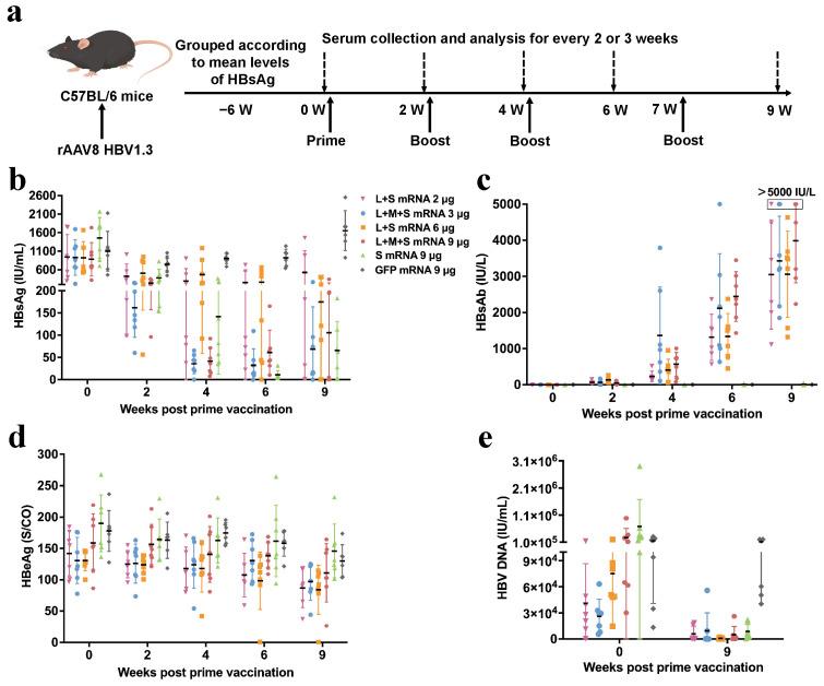 https://cdn.ncbi.nlm.nih.gov/pmc/blobs/cfe3/11859219/fd83d71e63b9/pharmaceutics-17-00211-g004.jpg