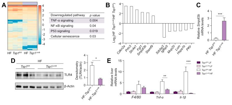 https://cdn.ncbi.nlm.nih.gov/pmc/blobs/cfe3/7689554/30cd1d9cb355/gr3.jpg