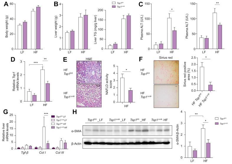 https://cdn.ncbi.nlm.nih.gov/pmc/blobs/cfe3/7689554/b0e09f090775/gr2.jpg