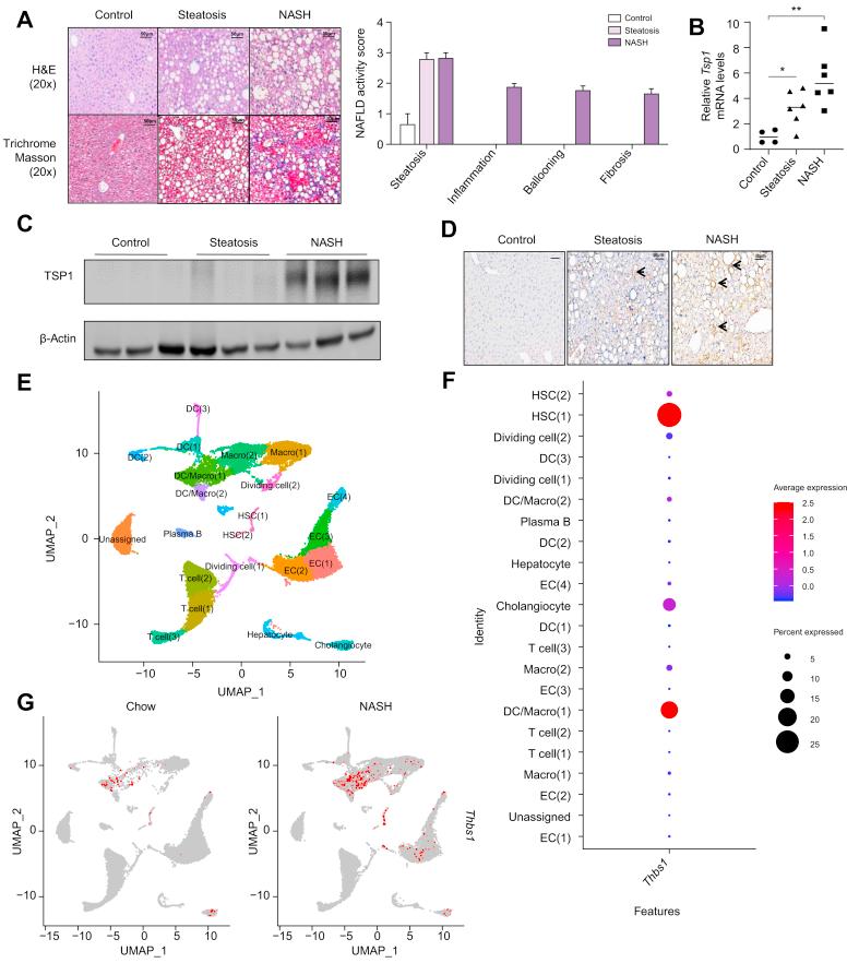 https://cdn.ncbi.nlm.nih.gov/pmc/blobs/cfe3/7689554/c8ac09ddb838/gr1.jpg
