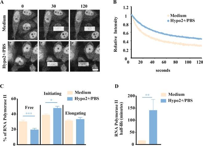 https://cdn.ncbi.nlm.nih.gov/pmc/blobs/cfe4/5940679/7a8d724dc81a/41598_2018_25517_Fig3_HTML.jpg
