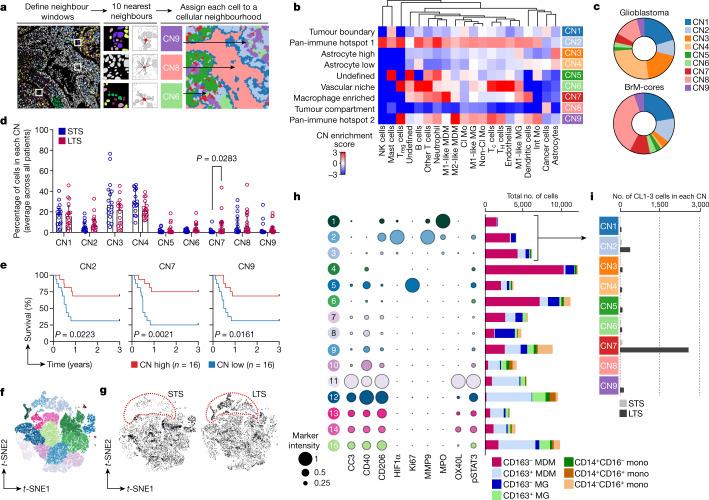 https://cdn.ncbi.nlm.nih.gov/pmc/blobs/cfe5/9931580/72ec50004c54/41586_2022_5680_Fig3_HTML.jpg