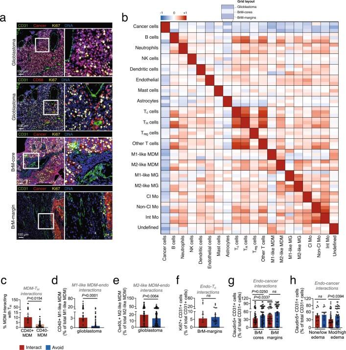 https://cdn.ncbi.nlm.nih.gov/pmc/blobs/cfe5/9931580/75ddf5a3f056/41586_2022_5680_Fig10_ESM.jpg