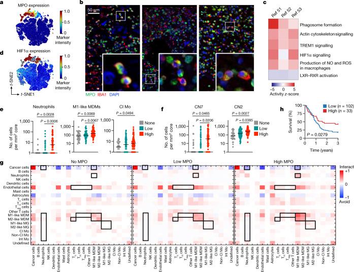 https://cdn.ncbi.nlm.nih.gov/pmc/blobs/cfe5/9931580/9714bb4f89c2/41586_2022_5680_Fig4_HTML.jpg