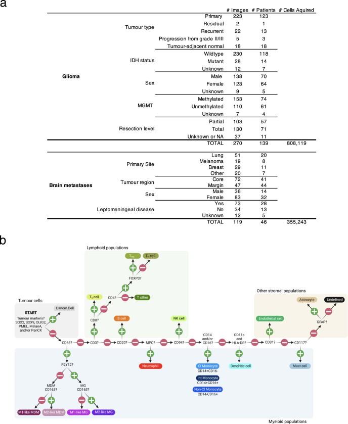 https://cdn.ncbi.nlm.nih.gov/pmc/blobs/cfe5/9931580/a455998d3976/41586_2022_5680_Fig5_ESM.jpg