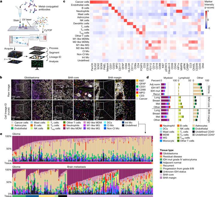 https://cdn.ncbi.nlm.nih.gov/pmc/blobs/cfe5/9931580/a583cda138c6/41586_2022_5680_Fig1_HTML.jpg
