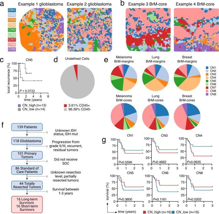 https://cdn.ncbi.nlm.nih.gov/pmc/blobs/cfe5/9931580/c5fdba00a728/41586_2022_5680_Fig13_ESM.jpg