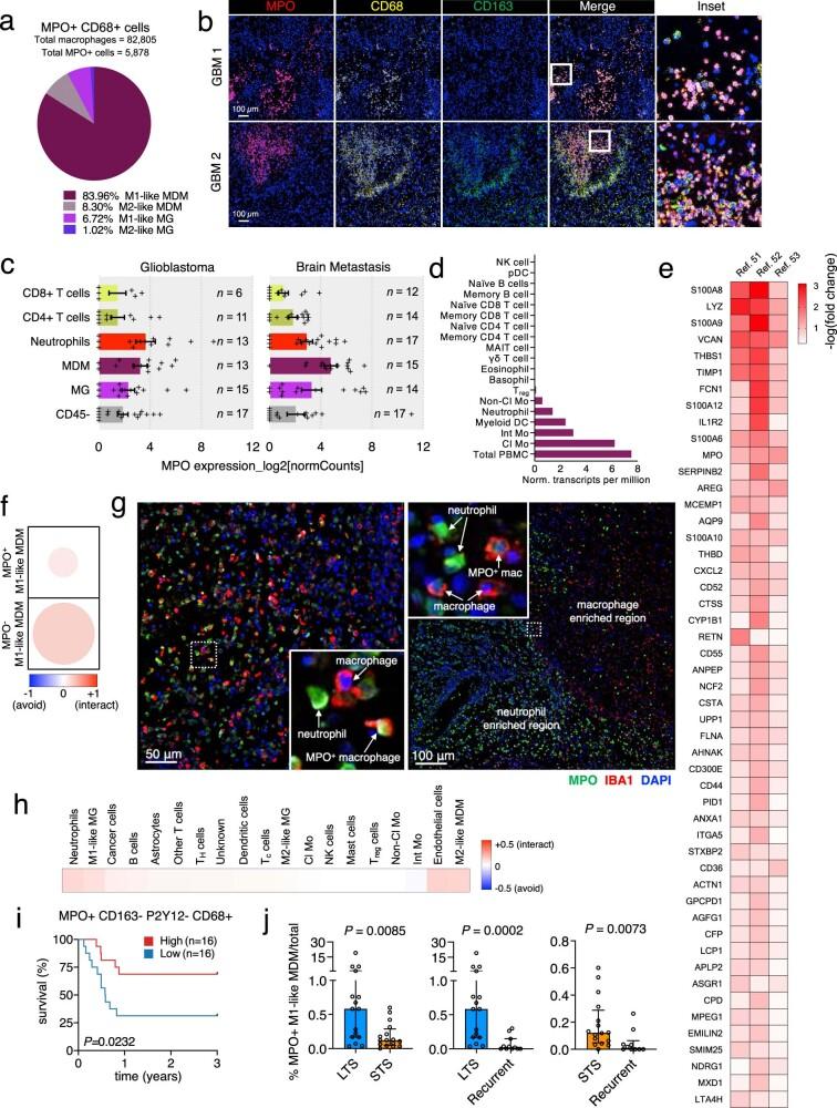 https://cdn.ncbi.nlm.nih.gov/pmc/blobs/cfe5/9931580/daef371a19e2/41586_2022_5680_Fig14_ESM.jpg