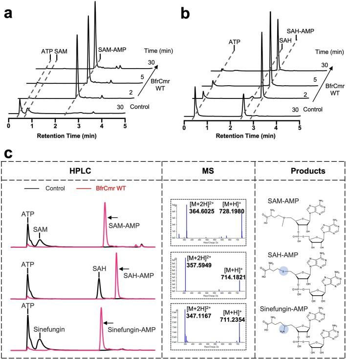 https://cdn.ncbi.nlm.nih.gov/pmc/blobs/cfe6/10600005/ffd86cacf919/41586_2023_6620_Fig9_ESM.jpg