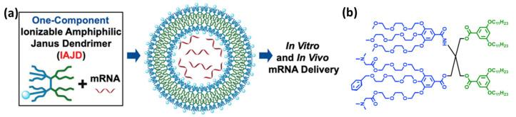 https://cdn.ncbi.nlm.nih.gov/pmc/blobs/cfe7/10674315/938a8ca18ff5/polymers-15-04369-g004.jpg