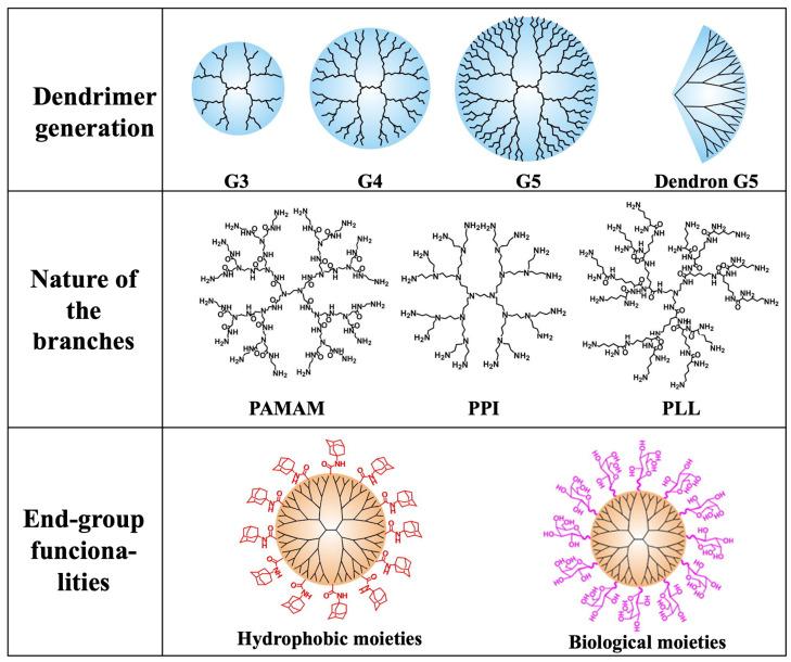 https://cdn.ncbi.nlm.nih.gov/pmc/blobs/cfe7/10674315/b642515ae9a7/polymers-15-04369-g001.jpg