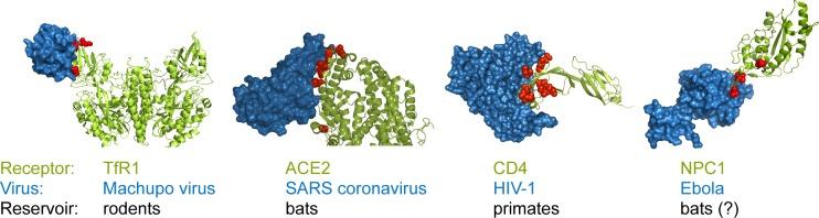 https://cdn.ncbi.nlm.nih.gov/pmc/blobs/cfe8/6474636/089e51745642/pbio.3000217.g002.jpg