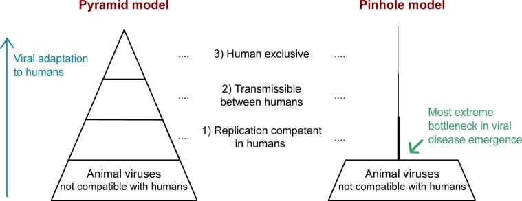 https://cdn.ncbi.nlm.nih.gov/pmc/blobs/cfe8/6474636/446017207bdd/pbio.3000217.g001.jpg