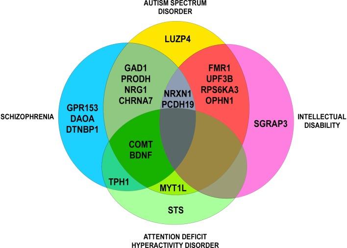 https://cdn.ncbi.nlm.nih.gov/pmc/blobs/cfe9/6930680/5b787cee2a76/fgene-10-01137-g001.jpg