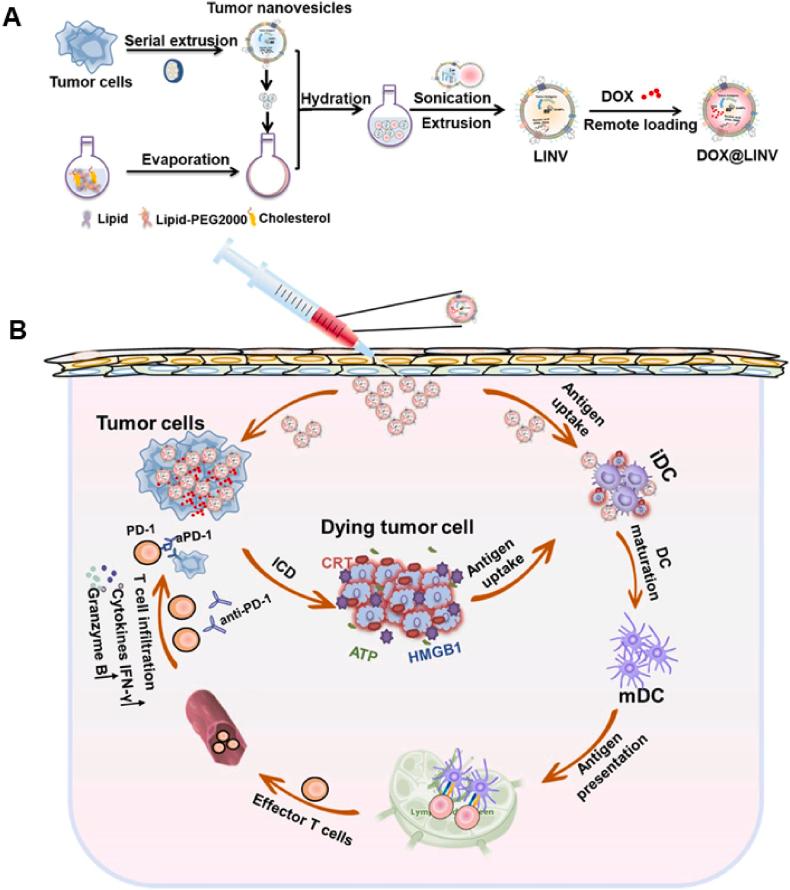 https://cdn.ncbi.nlm.nih.gov/pmc/blobs/cfea/10448342/21f13a493ead/gr8.jpg