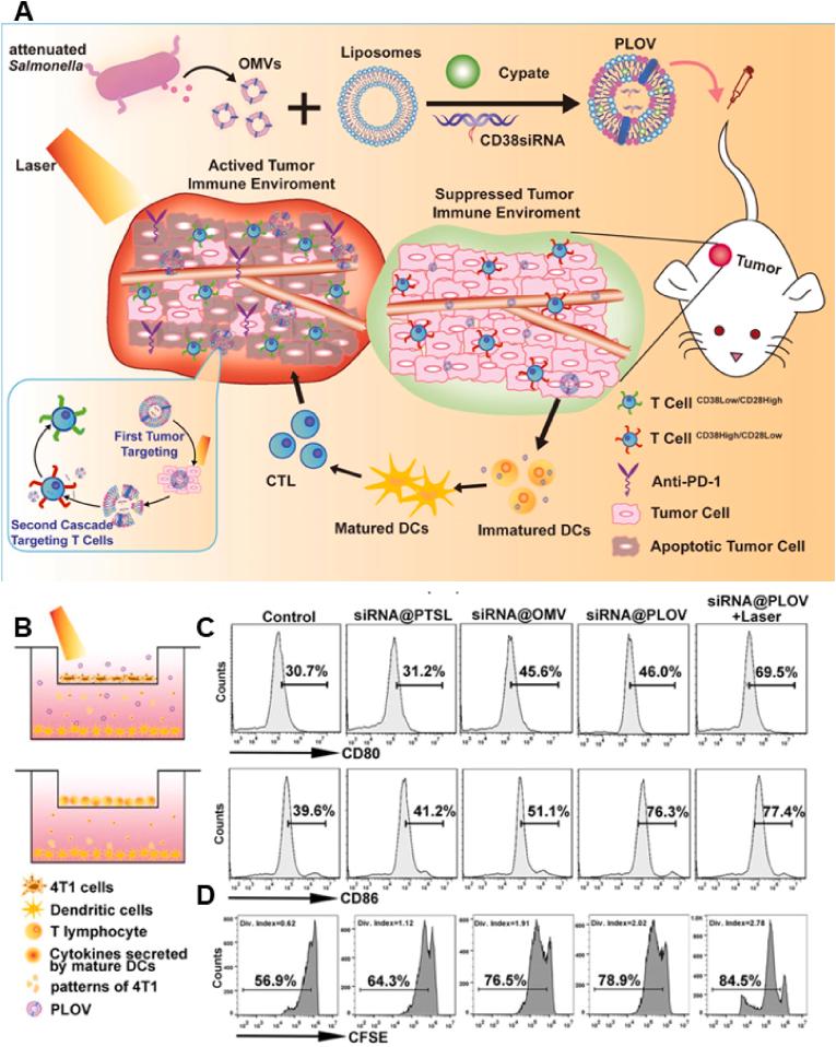 https://cdn.ncbi.nlm.nih.gov/pmc/blobs/cfea/10448342/a17d759cda16/gr7.jpg