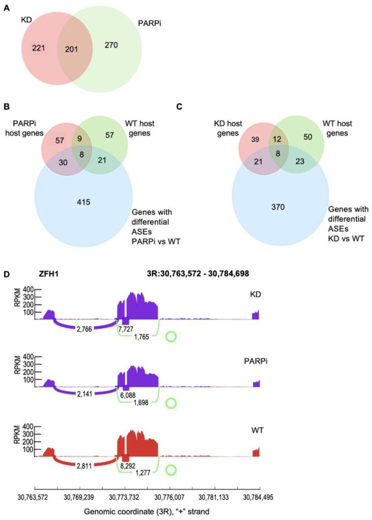 https://cdn.ncbi.nlm.nih.gov/pmc/blobs/cfed/10136798/137e10ed92c8/cells-12-01160-g003.jpg
