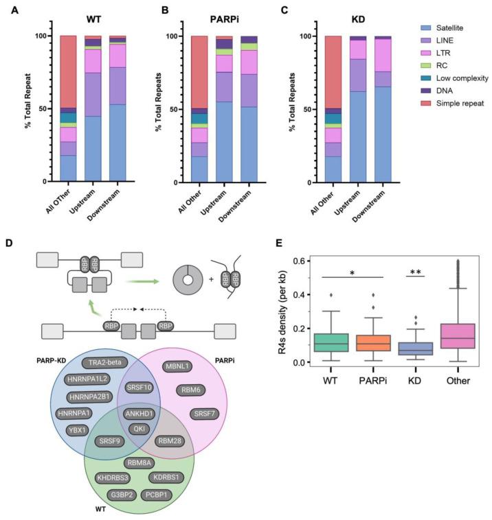https://cdn.ncbi.nlm.nih.gov/pmc/blobs/cfed/10136798/571dc8453053/cells-12-01160-g006.jpg