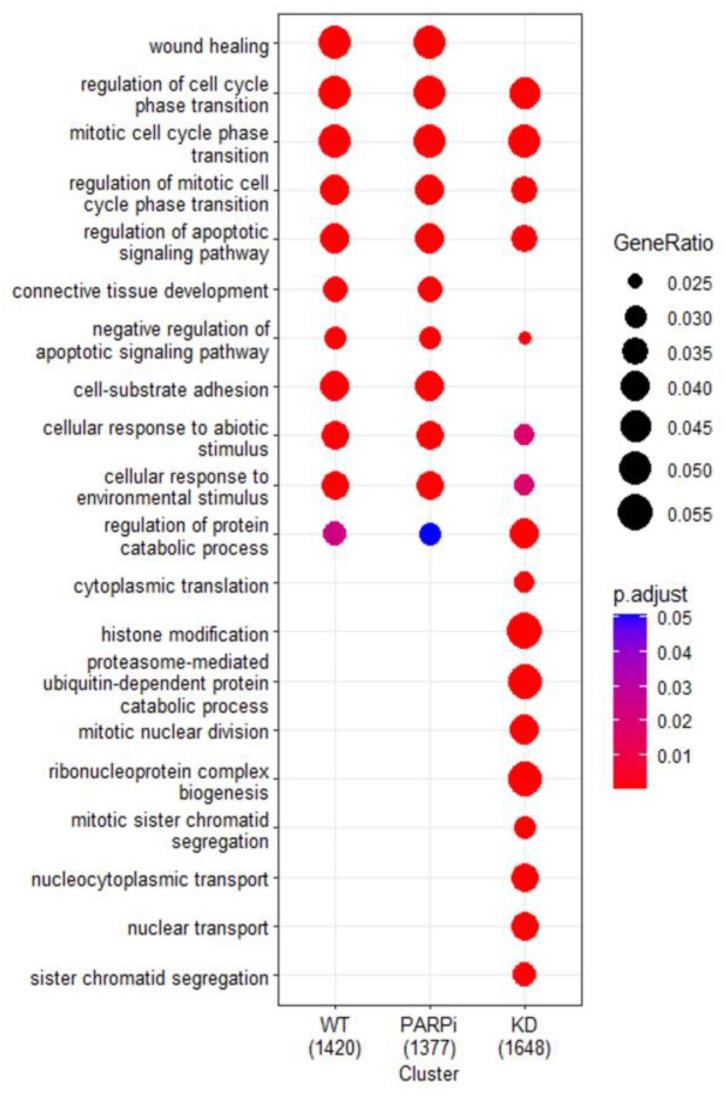 https://cdn.ncbi.nlm.nih.gov/pmc/blobs/cfed/10136798/75a2ff34b1e7/cells-12-01160-g004.jpg