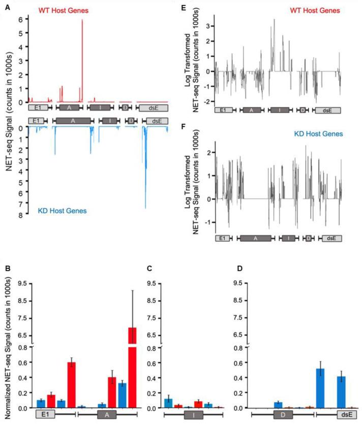 https://cdn.ncbi.nlm.nih.gov/pmc/blobs/cfed/10136798/9e312eac8f4a/cells-12-01160-g007.jpg