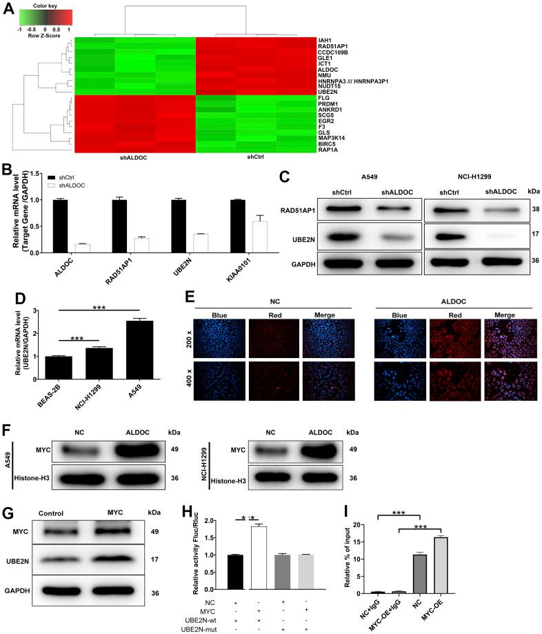 https://cdn.ncbi.nlm.nih.gov/pmc/blobs/cfef/10564444/4317d129b5fc/aging-15-205038-g003.jpg
