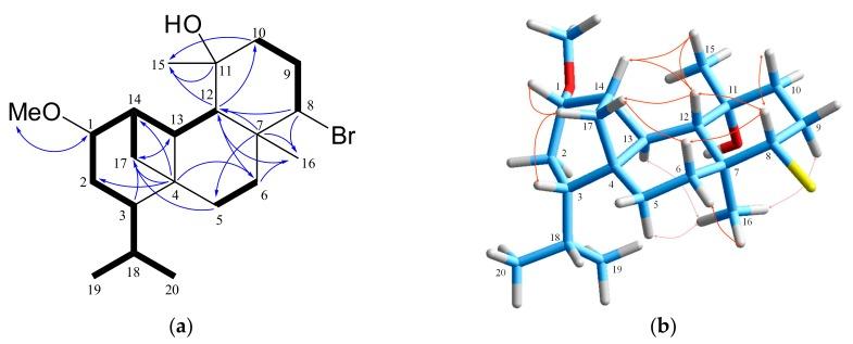 https://cdn.ncbi.nlm.nih.gov/pmc/blobs/cfef/7024270/6213c7ef5c59/marinedrugs-18-00029-g004.jpg