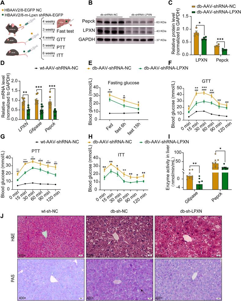 https://cdn.ncbi.nlm.nih.gov/pmc/blobs/cff0/11647654/12e87a6bd932/gr3.jpg