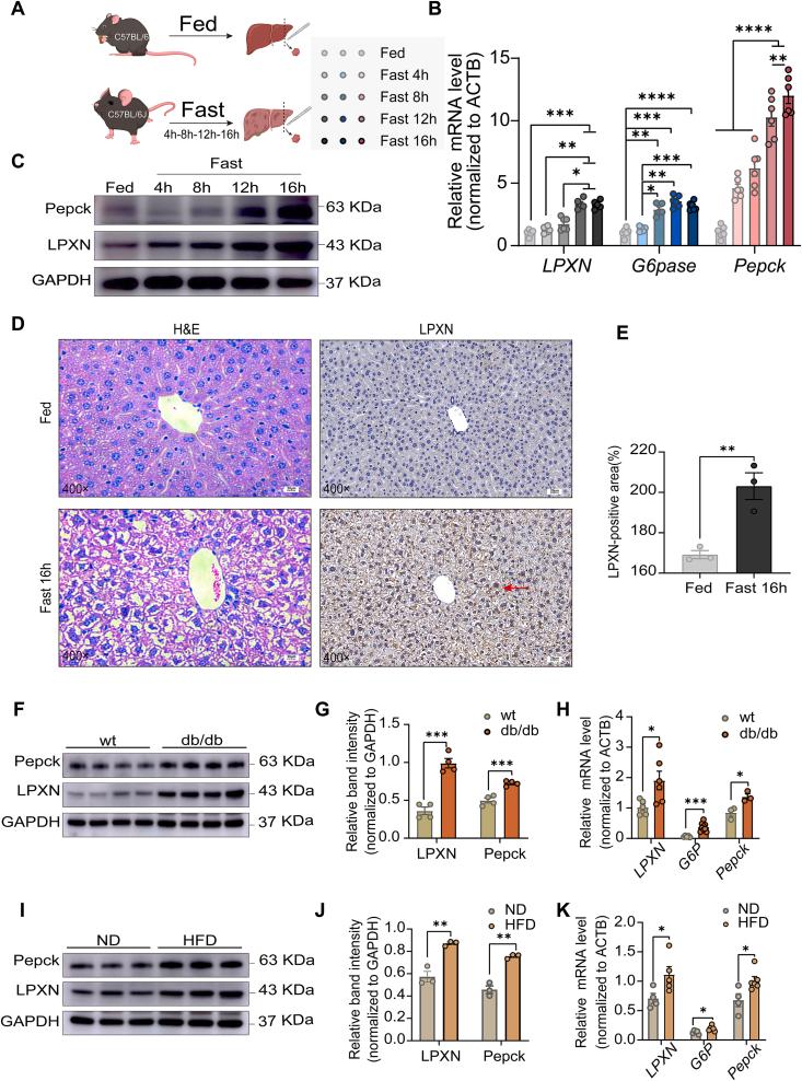 https://cdn.ncbi.nlm.nih.gov/pmc/blobs/cff0/11647654/77a46f8d9e52/gr2.jpg