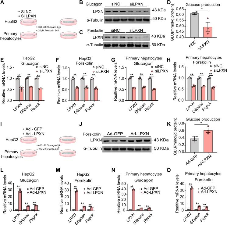 https://cdn.ncbi.nlm.nih.gov/pmc/blobs/cff0/11647654/af2c6e535a85/gr5.jpg