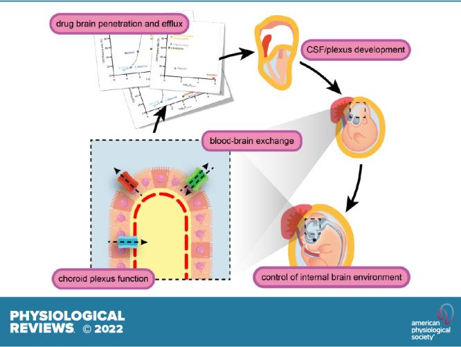 https://cdn.ncbi.nlm.nih.gov/pmc/blobs/cff0/9678431/b04b4a3c898a/prv-00060-2021r01.jpg