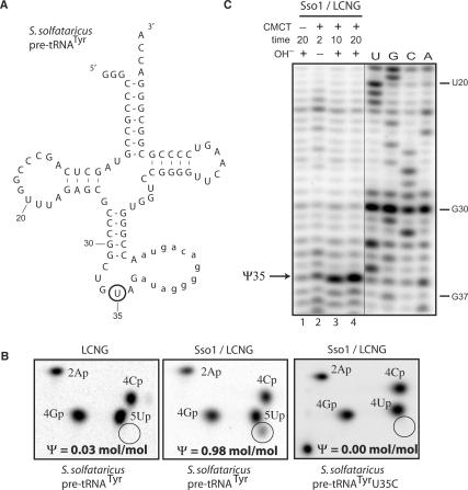 https://cdn.ncbi.nlm.nih.gov/pmc/blobs/cff1/2651775/c0931f5d9700/gkn1037f2.jpg