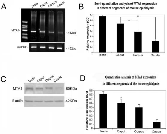 https://cdn.ncbi.nlm.nih.gov/pmc/blobs/cff2/2972736/5a1c590fa751/pone.0015439.g001.jpg