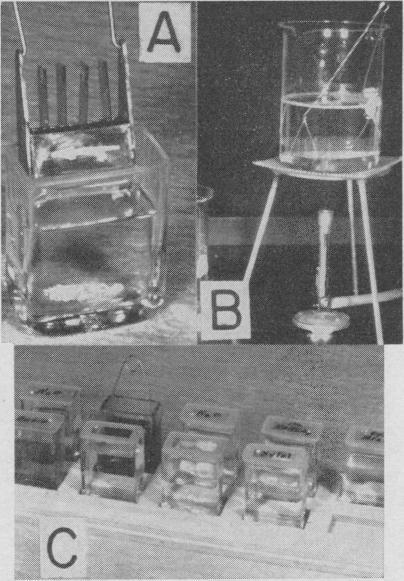 https://cdn.ncbi.nlm.nih.gov/pmc/blobs/cff3/1494243/800c61720936/vetsci00041-0024-a.jpg