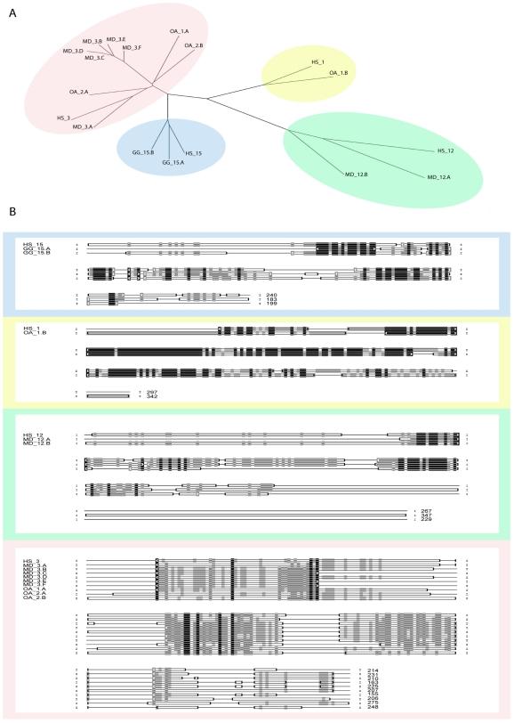 https://cdn.ncbi.nlm.nih.gov/pmc/blobs/cff7/2826416/b45d0a67c2d8/pone.0009369.g003.jpg