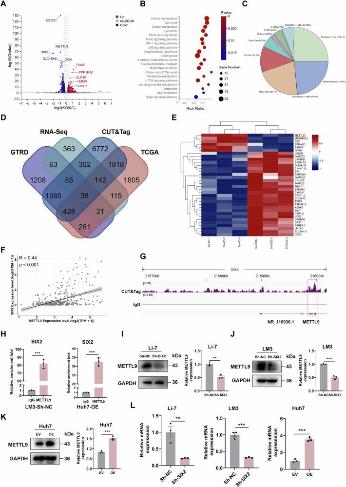 https://cdn.ncbi.nlm.nih.gov/pmc/blobs/cff8/12170904/1ba32881d261/41698_2025_1004_Fig3_HTML.jpg