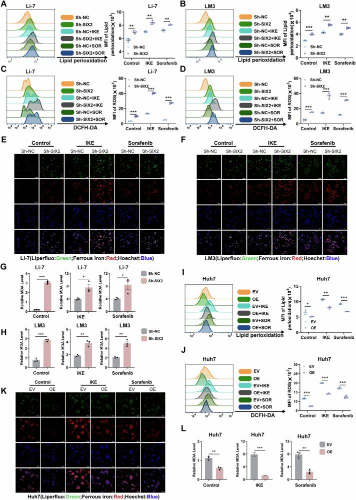 https://cdn.ncbi.nlm.nih.gov/pmc/blobs/cff8/12170904/396eda8723c2/41698_2025_1004_Fig4_HTML.jpg
