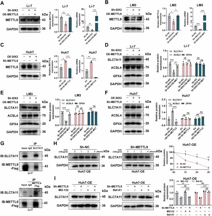 https://cdn.ncbi.nlm.nih.gov/pmc/blobs/cff8/12170904/5503e1fbebd0/41698_2025_1004_Fig5_HTML.jpg