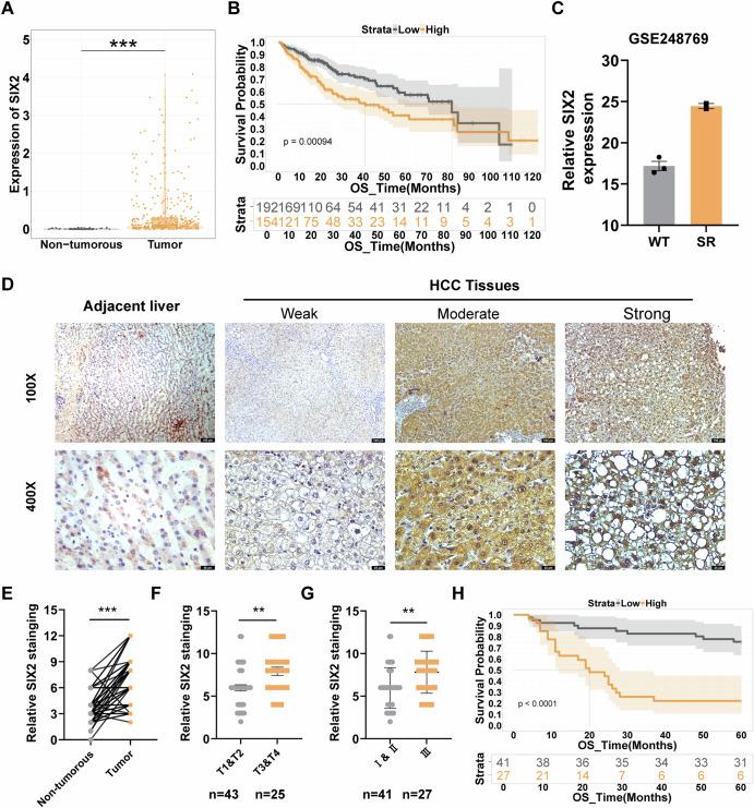 https://cdn.ncbi.nlm.nih.gov/pmc/blobs/cff8/12170904/683c1789597b/41698_2025_1004_Fig1_HTML.jpg