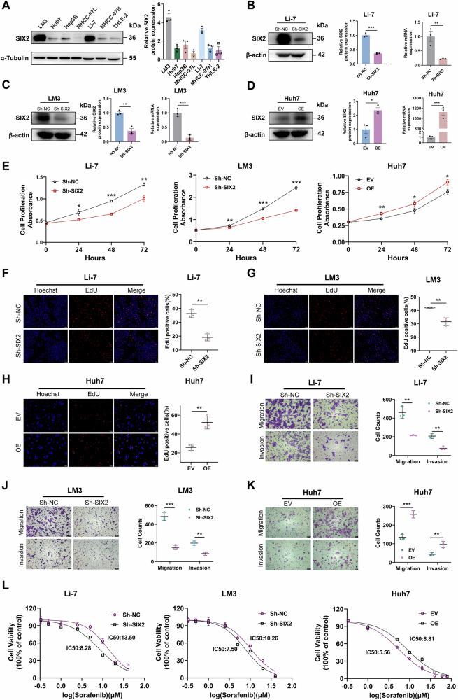 https://cdn.ncbi.nlm.nih.gov/pmc/blobs/cff8/12170904/bdeeef7d3eae/41698_2025_1004_Fig2_HTML.jpg