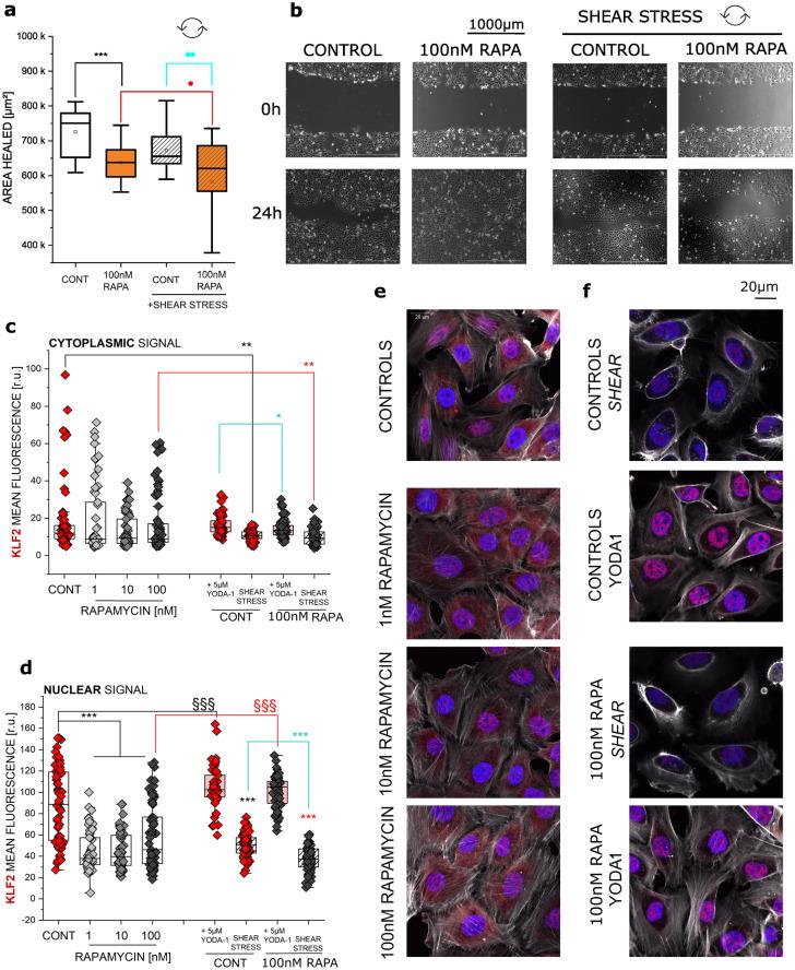 https://cdn.ncbi.nlm.nih.gov/pmc/blobs/cff8/9816236/3d270bcbfb83/204_2022_3375_Fig1_HTML.jpg