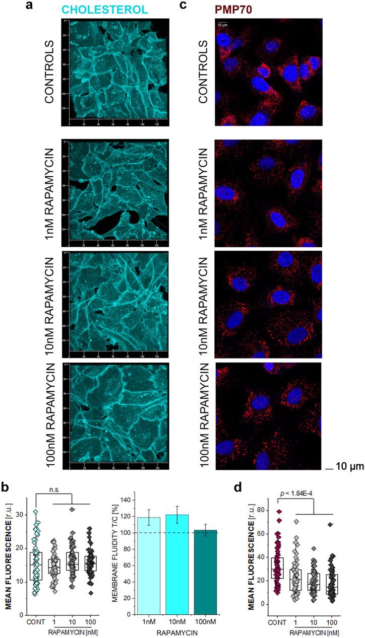 https://cdn.ncbi.nlm.nih.gov/pmc/blobs/cff8/9816236/41d8f062be21/204_2022_3375_Fig3_HTML.jpg