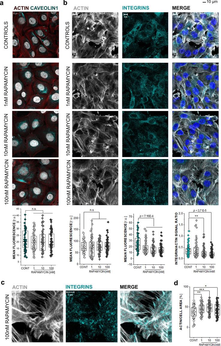 https://cdn.ncbi.nlm.nih.gov/pmc/blobs/cff8/9816236/aebc6b0a60bf/204_2022_3375_Fig2_HTML.jpg